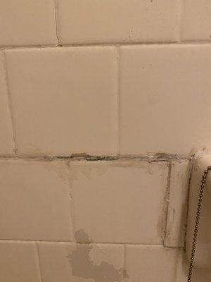 Mold in the cracks of bathrooms.