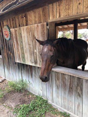 EquiSol Healing Retreat Center