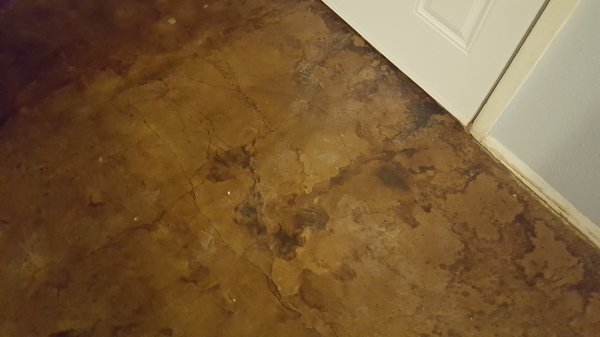 Raul's Concrete Stain in Plano, TX