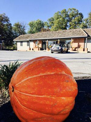 Loeffler Financial Group decorated for fall