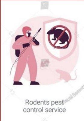 Rodent pest control service