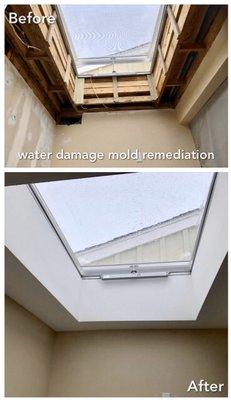 Water damage mold abatement