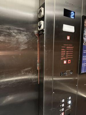 Interior elevator door