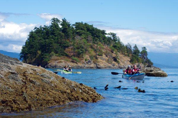 Paddling off Cypress Island