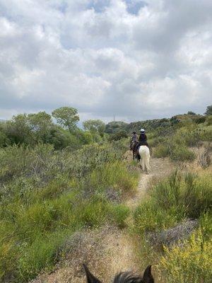 In the wash on the trail