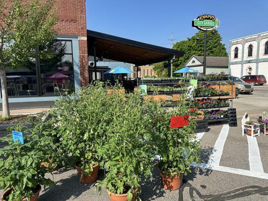 New Baltimore Farmers Market