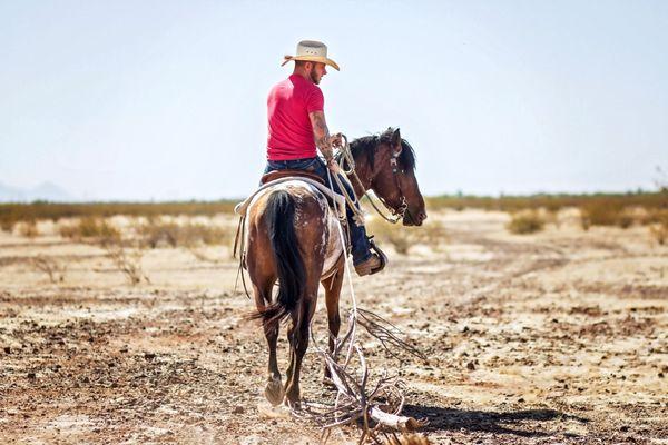 Full Circle Horse Training