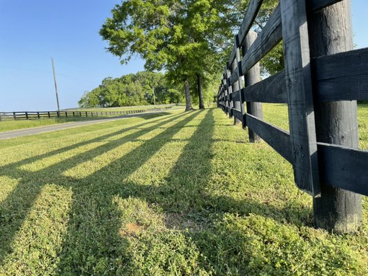 Fence line clean!