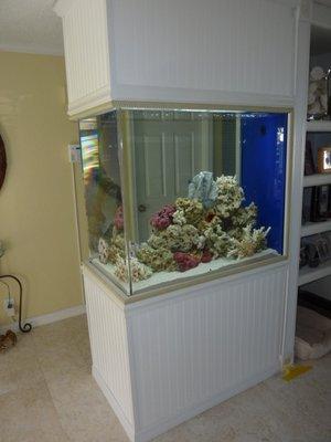 Sea Clear Aquarium