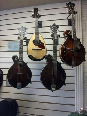 Mandolins