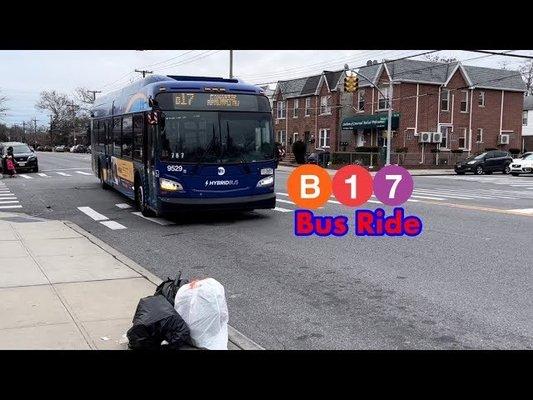 B17 Bus