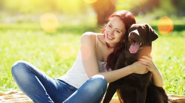 Loving Care kennels And grooming