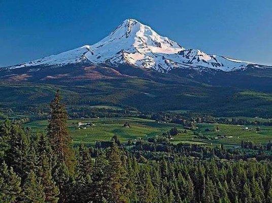 Mt Hood