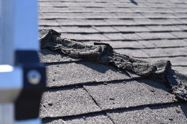 That's not good...get your roof repaired!