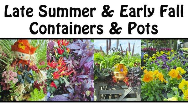 http://www.cptmedianews.com/vanbnursery/august/2016eblastweek3.html