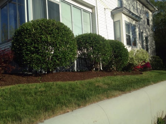 Trimming, mulching, and edging