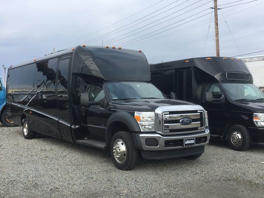 24 passenger party bus