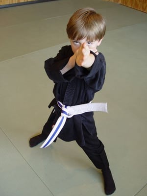 Focus and Commitment are the cornerstones of our Junior program at the Jinenkan Dojo.