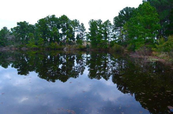 Yegua Knobbs Preserve