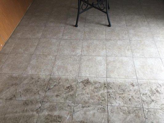 Tile and Grout Cleaning