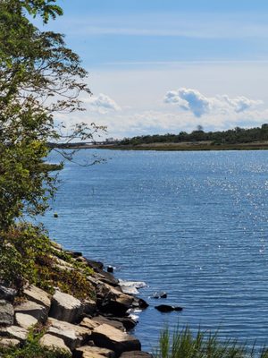 Salt Marsh Nature Center