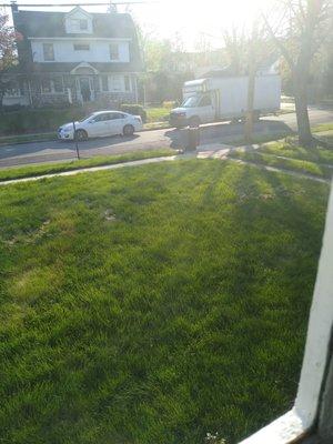 My lawn - green, full and weed free thanks to Henderson Fertilizing