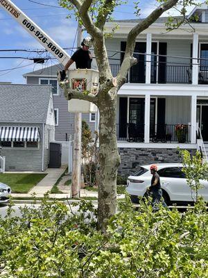 Hell Fighters Tree Removal