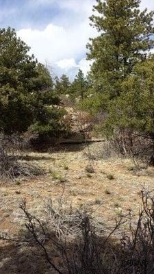 EASY ACCESS VIA PAVED COUNTY ROAD 12 FROM HIGHWAY 50 AT COTOPAXI TO THIS SCENIC MOUNTAIN LOT IN INDIAN SPRINGS SUBDIVISION...