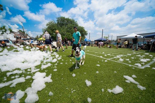 Houston Bark Park and Daycare