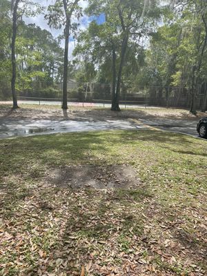 Tennis court looks ok just need some maintenance