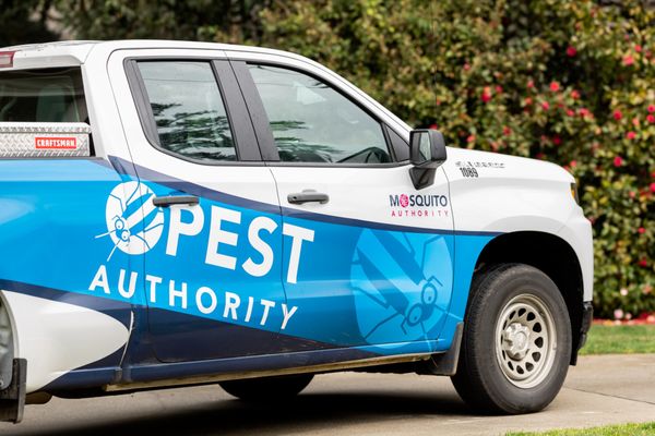 Pest Authority