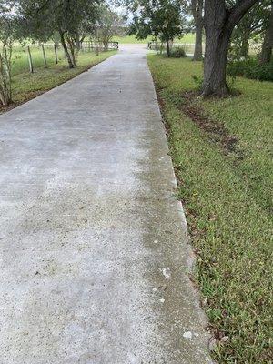 This driveway was covered in pollen from the surrounding oak trees before we treated it