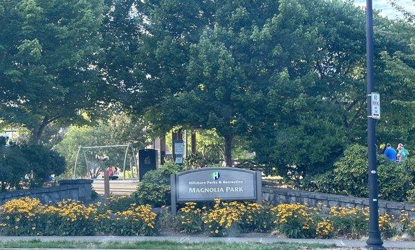 Cute park with a splash pad