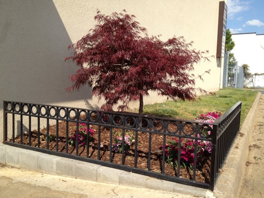 Welded Fence