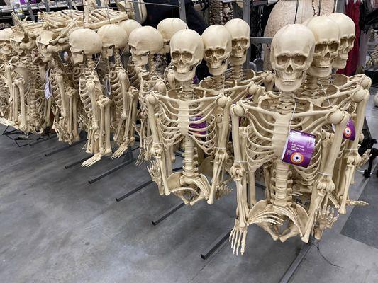 Skeleton life