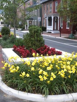 City of Winchester-Cameron Street planting