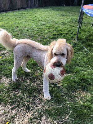 Carver and his Soccer Ball