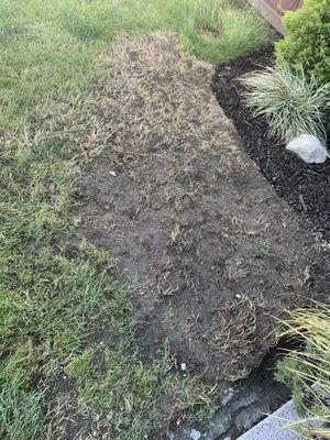 This is one of three places where the lawn was killed by the dirt pile over the 8 days we waited for the owner to return.