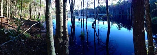 Beaver Pond at Horse Hill Nature Preserve in Merrimack, NH