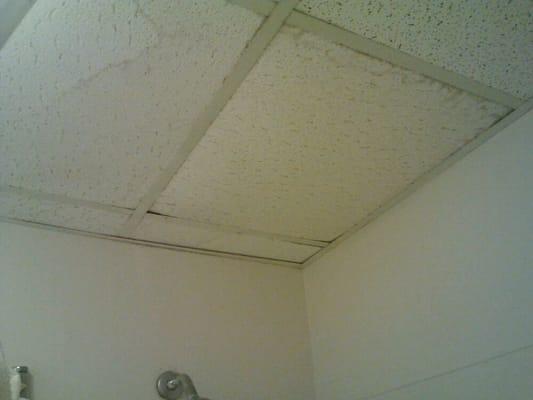 Bathroom ceiling