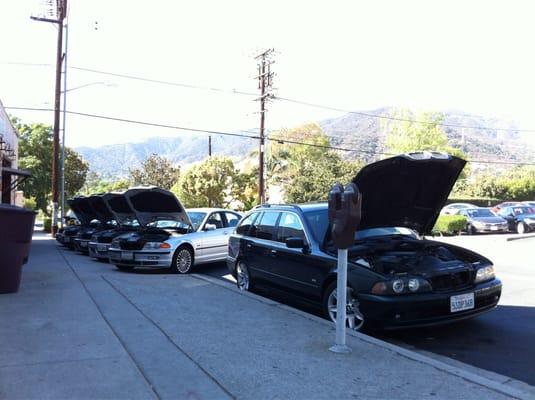 Bimmer Collection