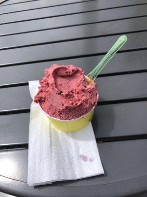 Forest Berry gelato