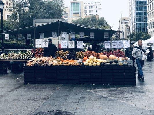 Farmer's market stand