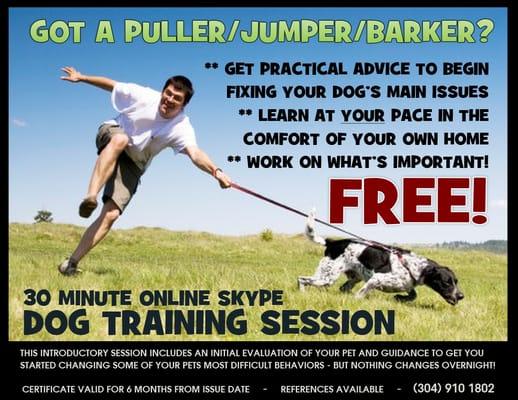 think PAWsitive Dog Training