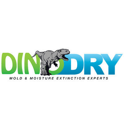 DinoDry Waterproofing