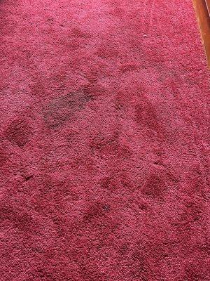 Carpet stains