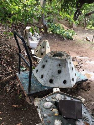 Reef memorials curing until deployment.