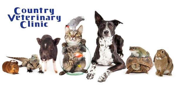 Full-service Veterinary Medical Facility Located Between Yuba City, Sutter and Live Oak, CA