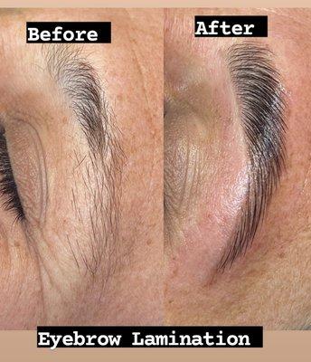 Eyebrow Lamination with Tint