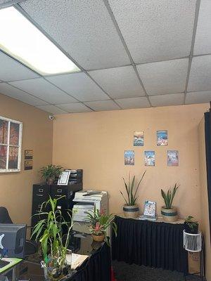 Welcome to our travel agency office!